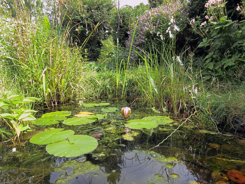 Products For Pond Diggings in use
